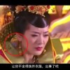 曾道长资料app